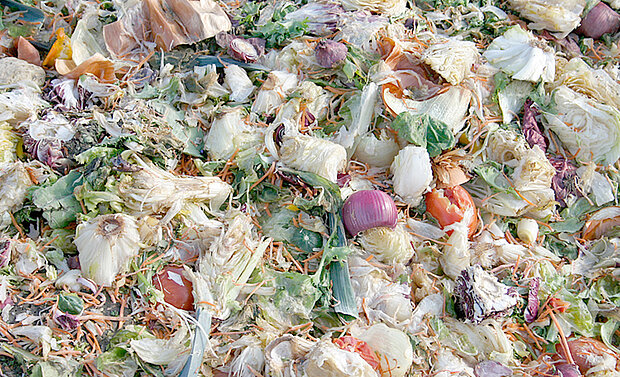 Organic and Vegetative Waste Recycling