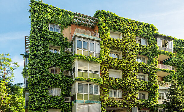 Urban Greening Concepts